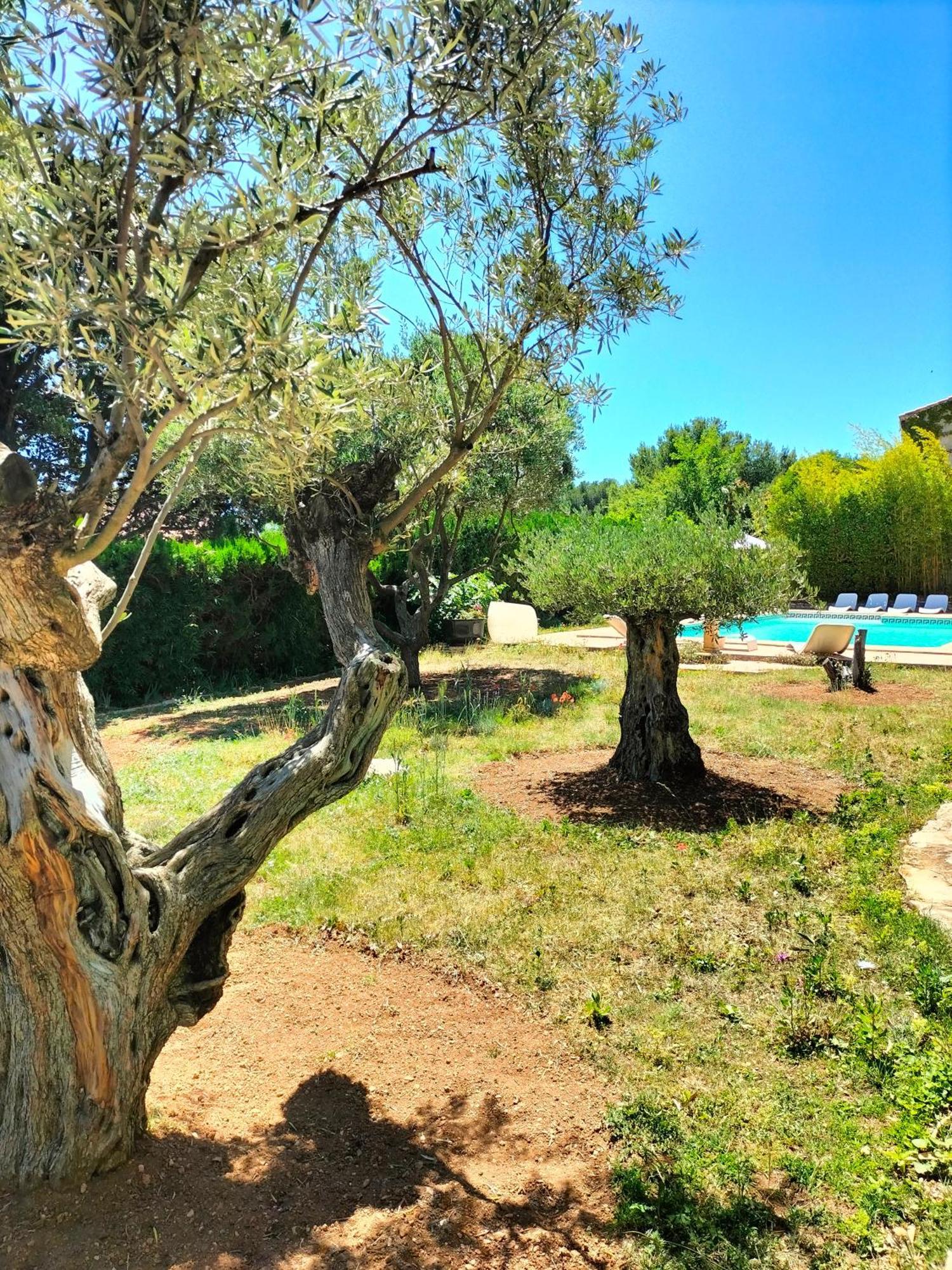 Vacances Carnoux-en-Provence Екстериор снимка