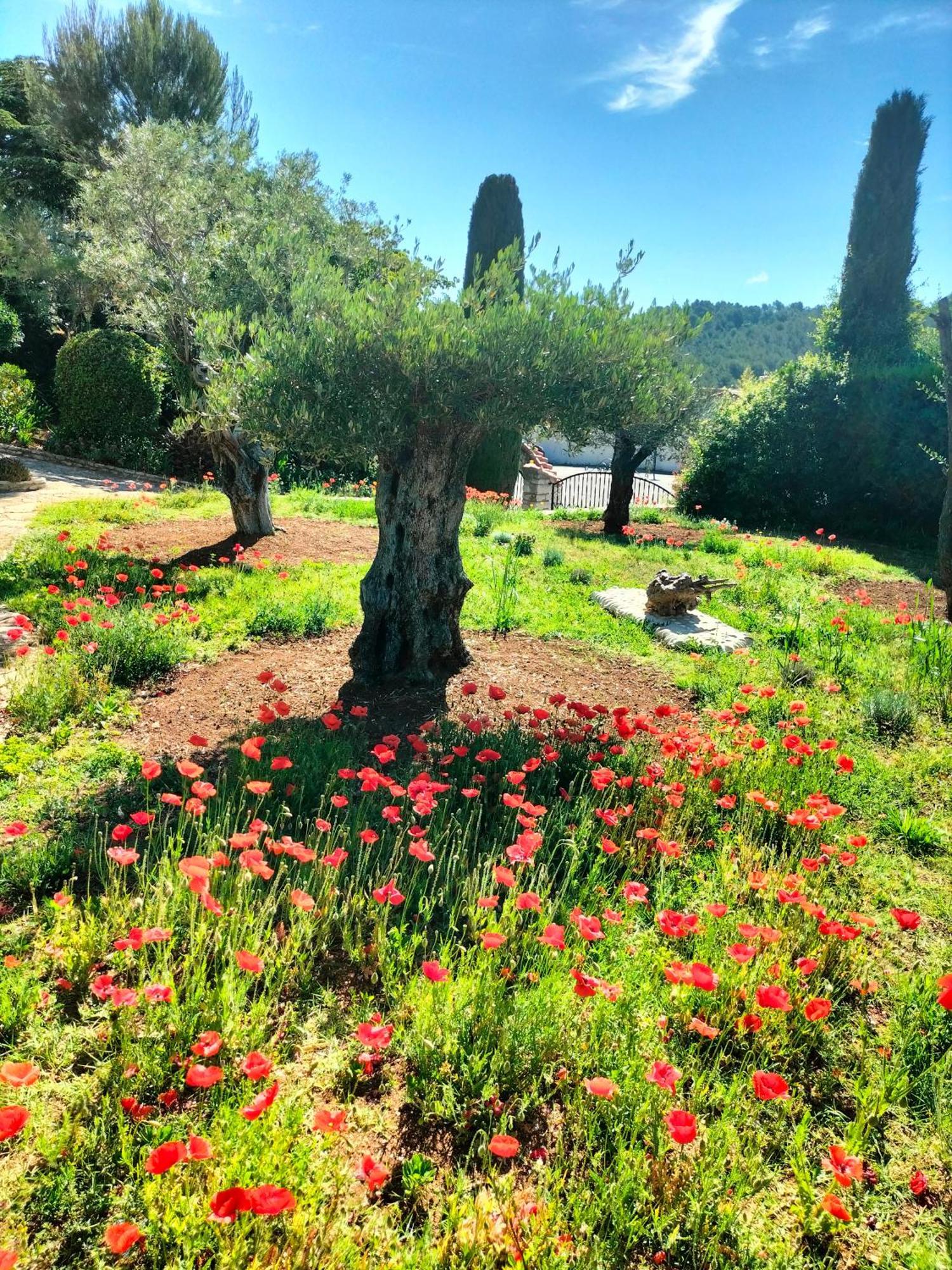 Vacances Carnoux-en-Provence Екстериор снимка